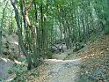 szate 2011.09.17 (155)